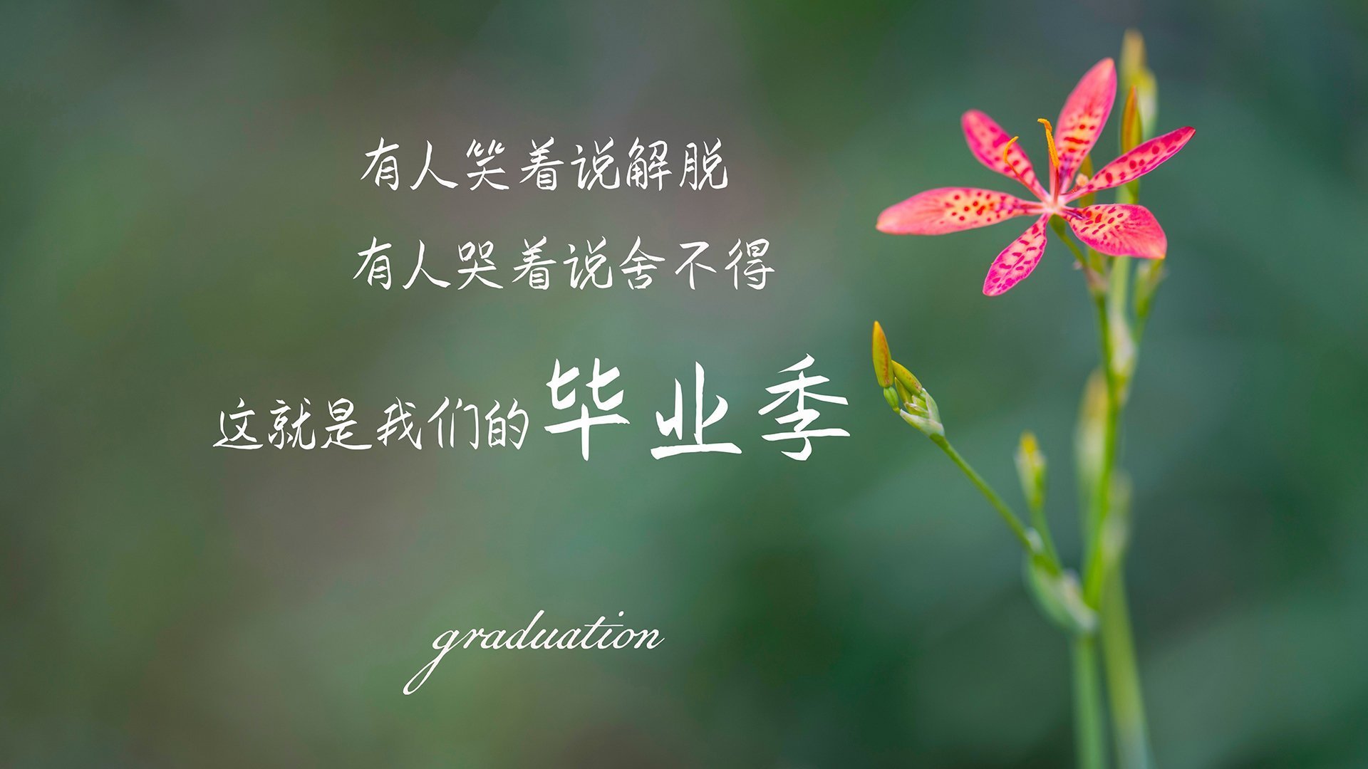 星光永不落，布鲁诺一脚定乾坤，马赛险胜罗马背后的足球美学