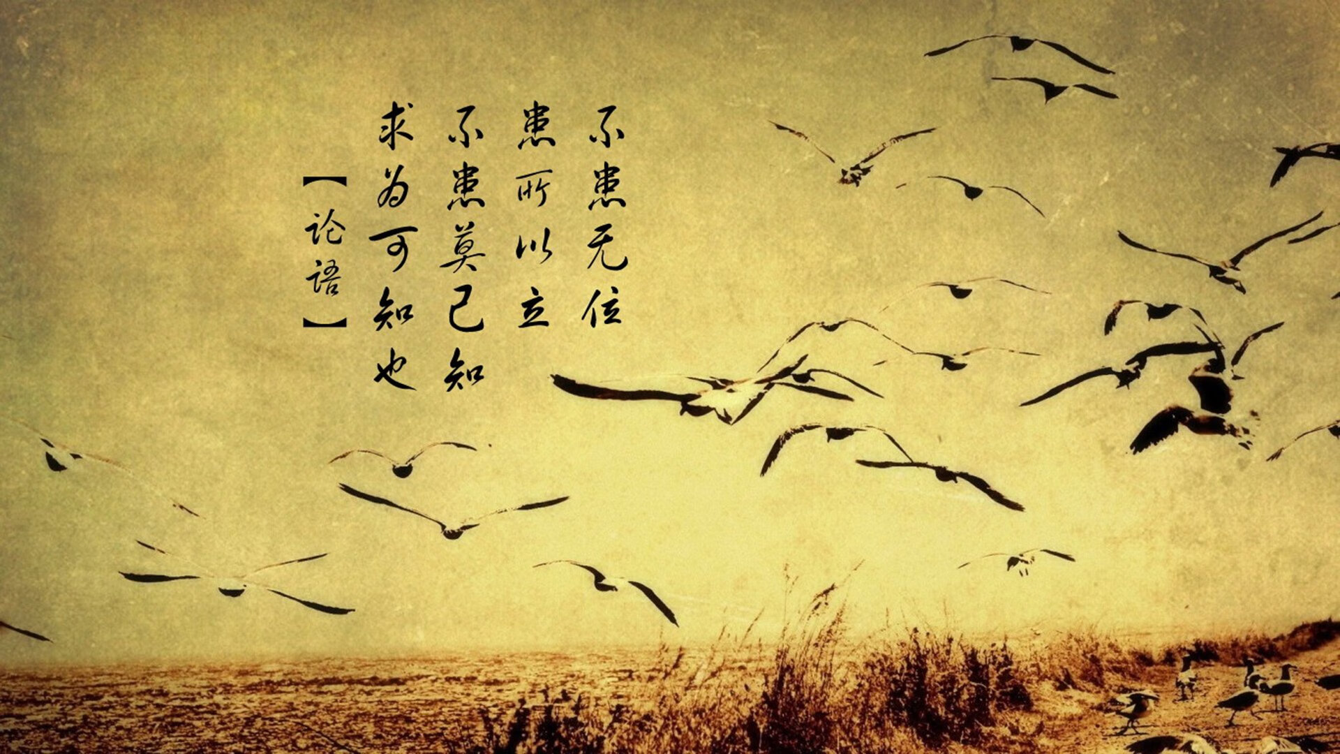 熔炉中的火焰，当戴维斯杯绝杀联合杯，纳达尔镌刻唯一的数字