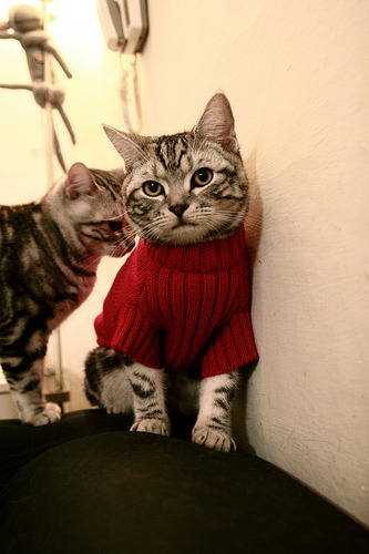 狂暴统治，阿斯顿马丁摧枯拉朽碾压威廉姆斯，周冠宇演绎完美独舞