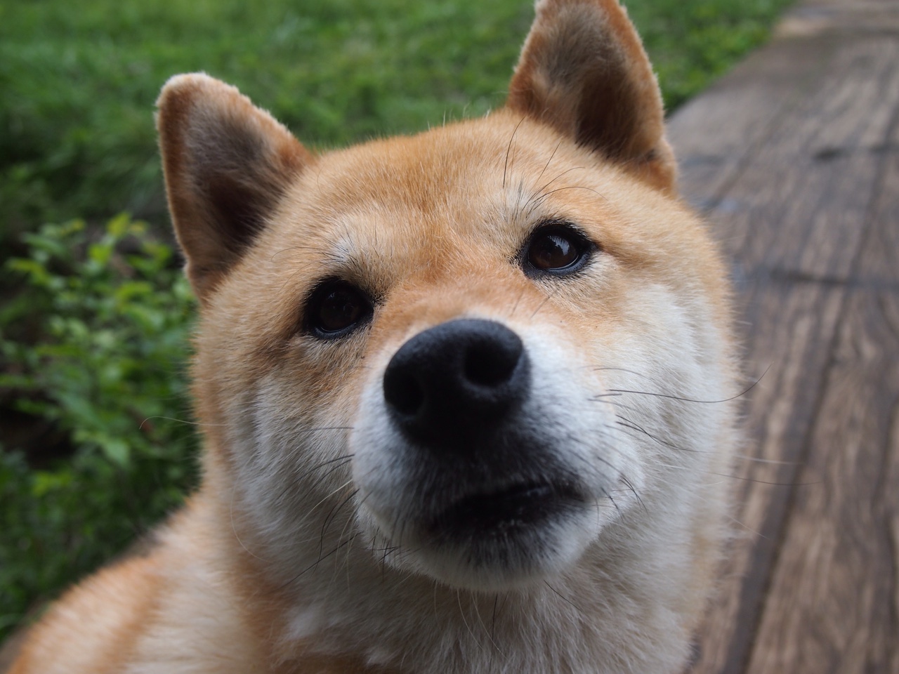 唯一一次压制级发挥—哈弗茨将抢七之夜铸成不朽传奇