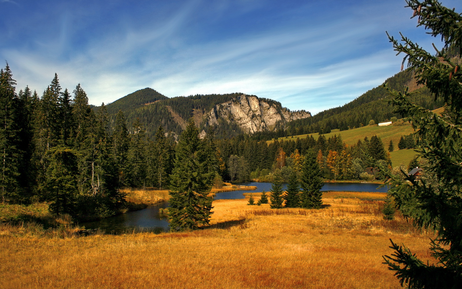 平行宇宙的钢铁风暴,当广厦打穿鹈鹕,范弗利特双线封神