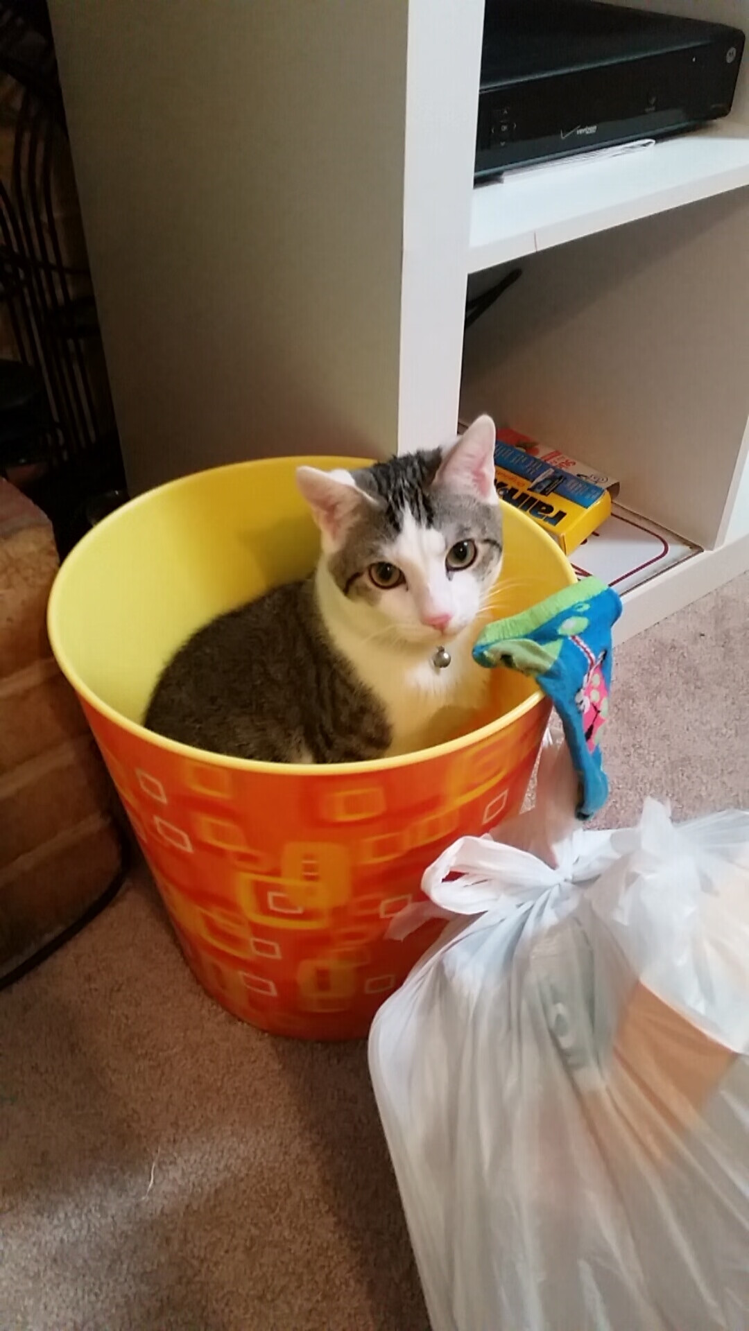 足球世界双星闪耀,厄瓜多尔友谊赛粉碎佛罗伦萨,德里赫特欧冠淘汰赛接管比赛