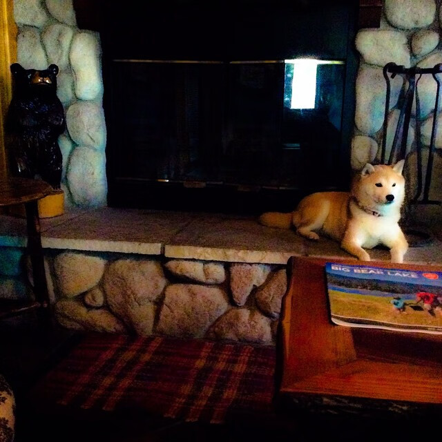 当机器人降临,伦纳德空降CBA广厦队,季前赛跨界击溃NBA爵士