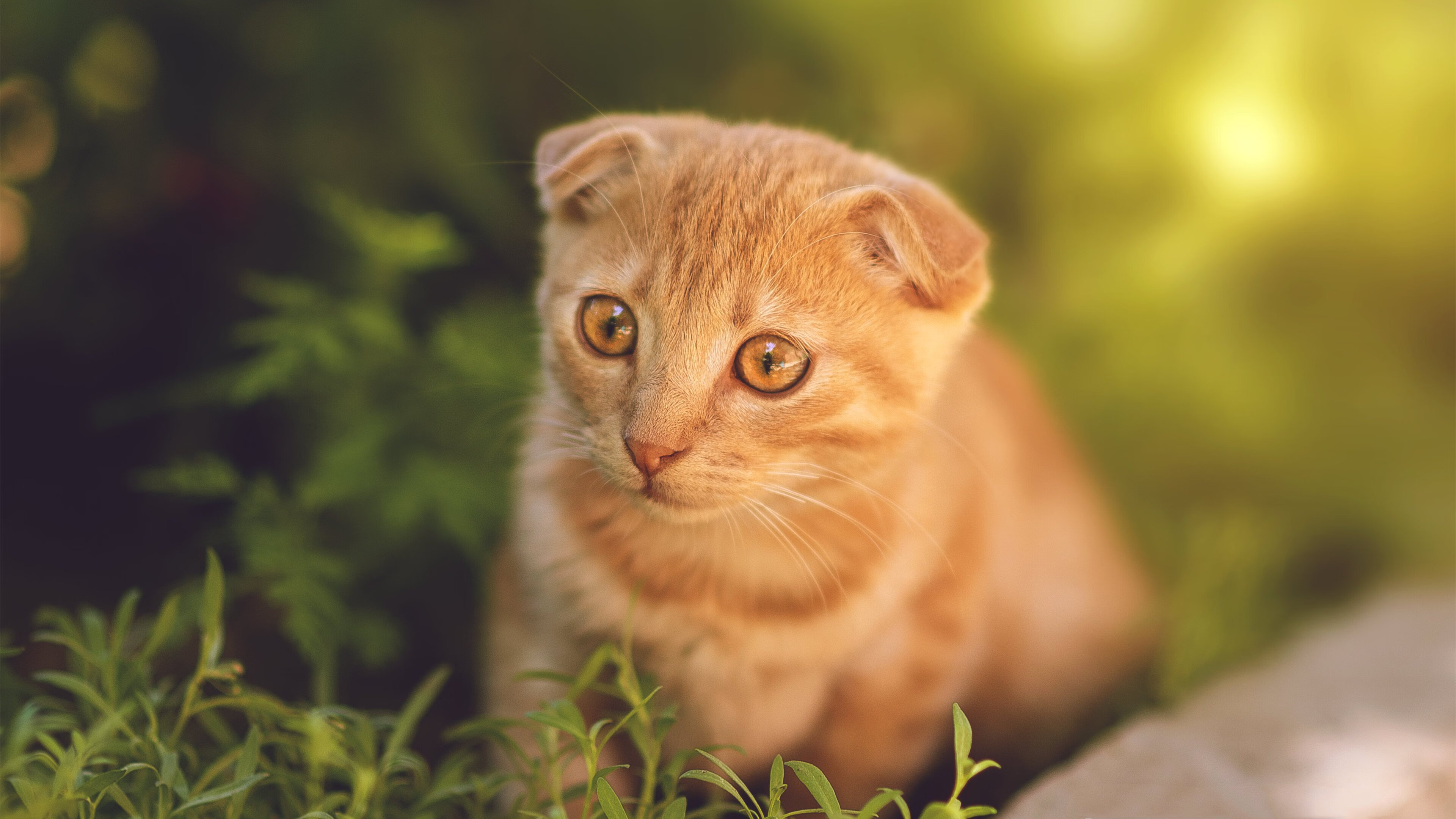 锡安觉醒，熔岩般的一节比赛如何重塑山西篮球的灵魂
