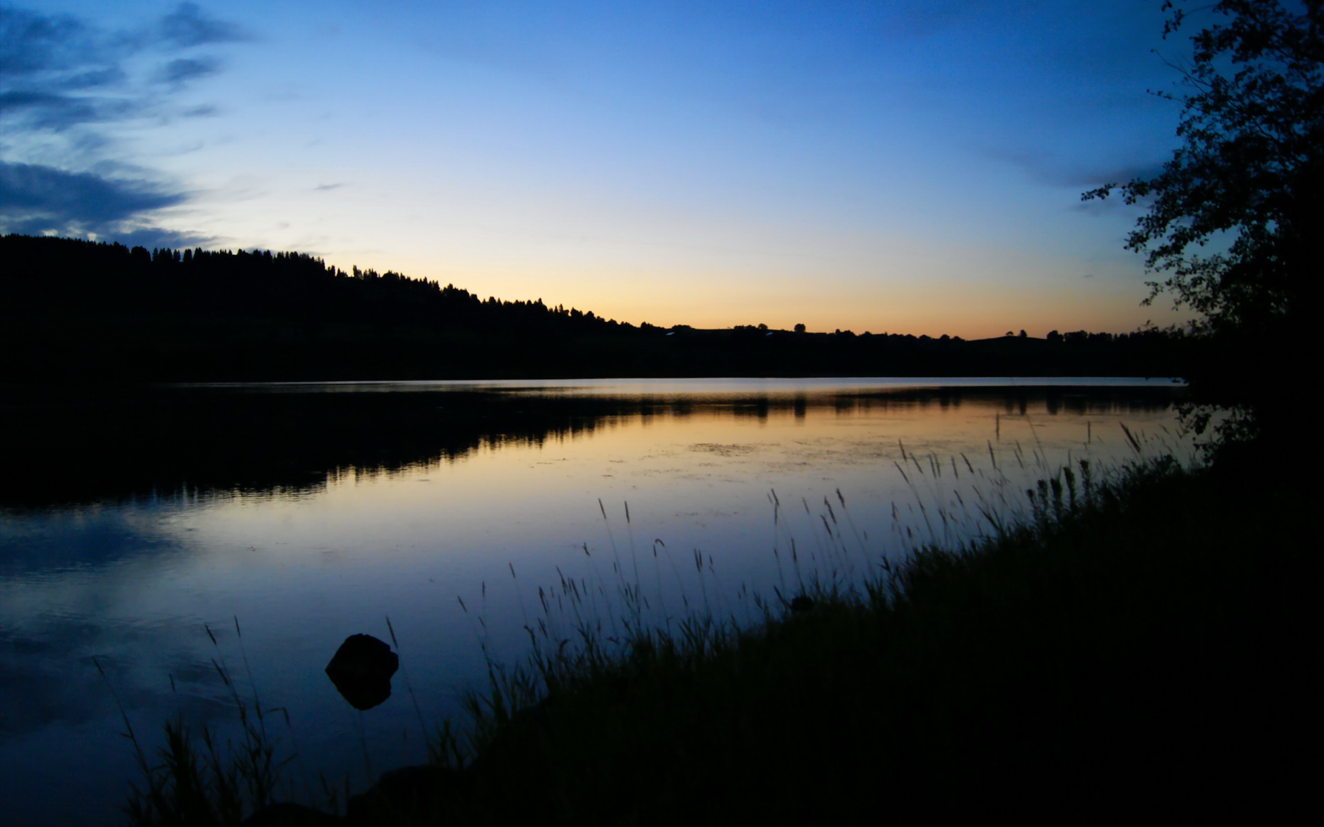 皓月当空，门神归位—福克斯一夫当关守护德甲王冠之夜