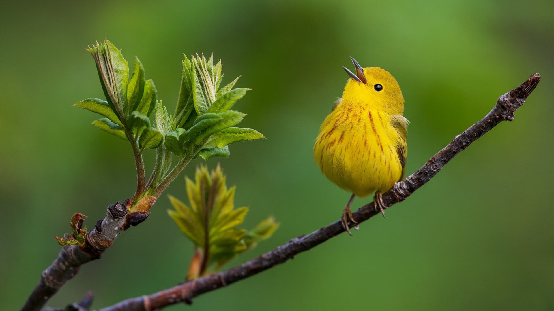 封锁与艺术,两个平行世界的对抗与征服