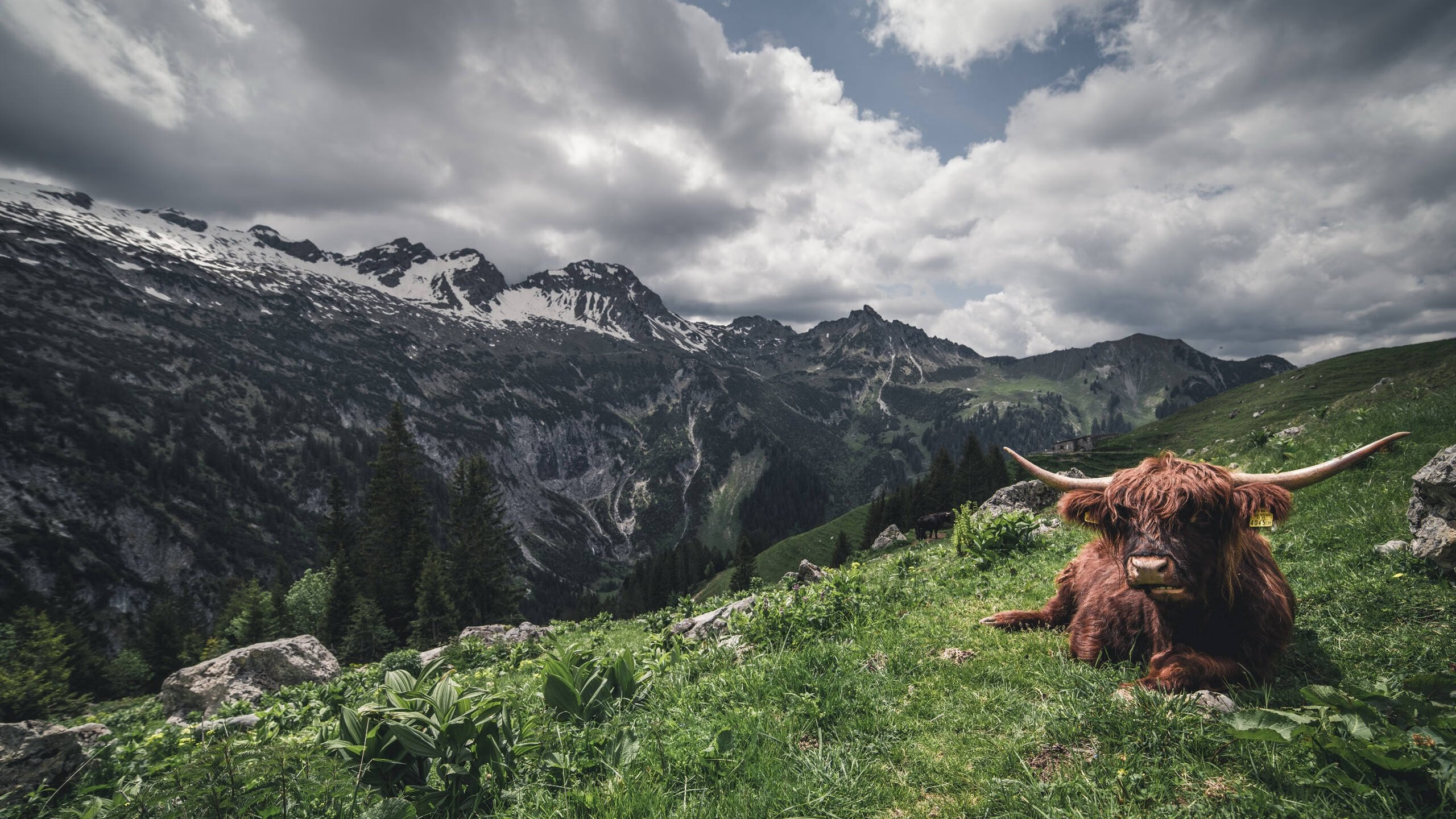 赛道与赛场的双杀日,当F1世界屏息时,雷霆在岭南爆冷