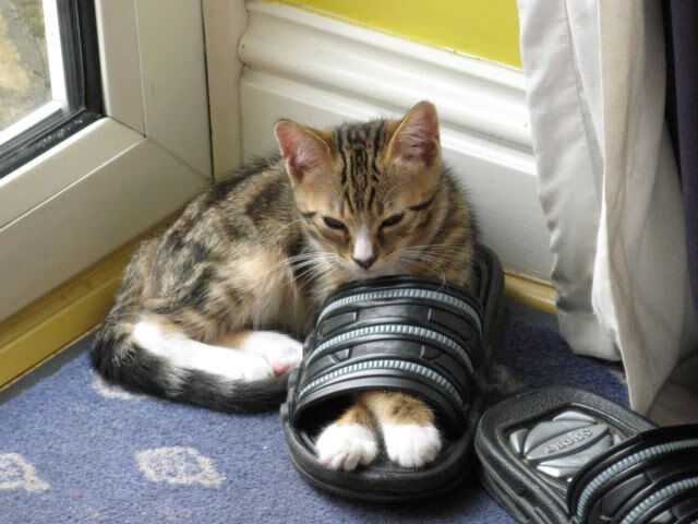 布克时间，当绝杀成为雕刻时刻的艺术